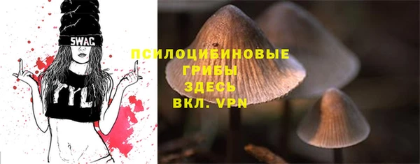 дживик Костерёво