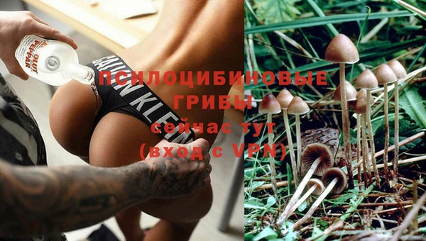 крисы Козловка